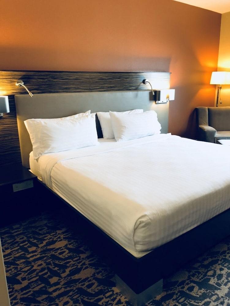 Holiday Inn Express & Suites North Dallas At Preston By Ihg Exterior foto